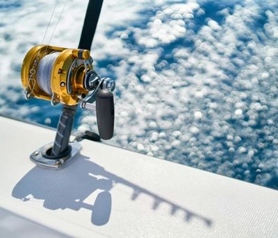 Sea Fishing Adventure