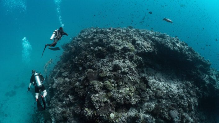 Scuba Diving