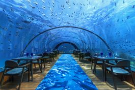 5.8 UNDERSEA RESTAURANT