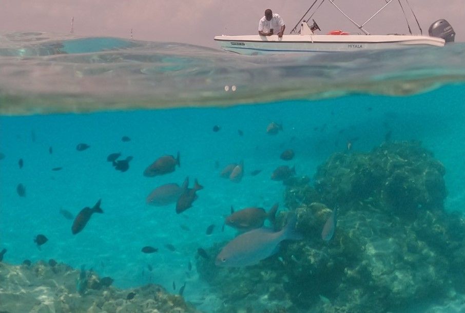 Snorkelling Speedboat Trip