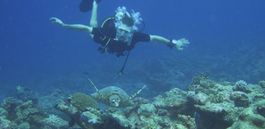 Under the Water
