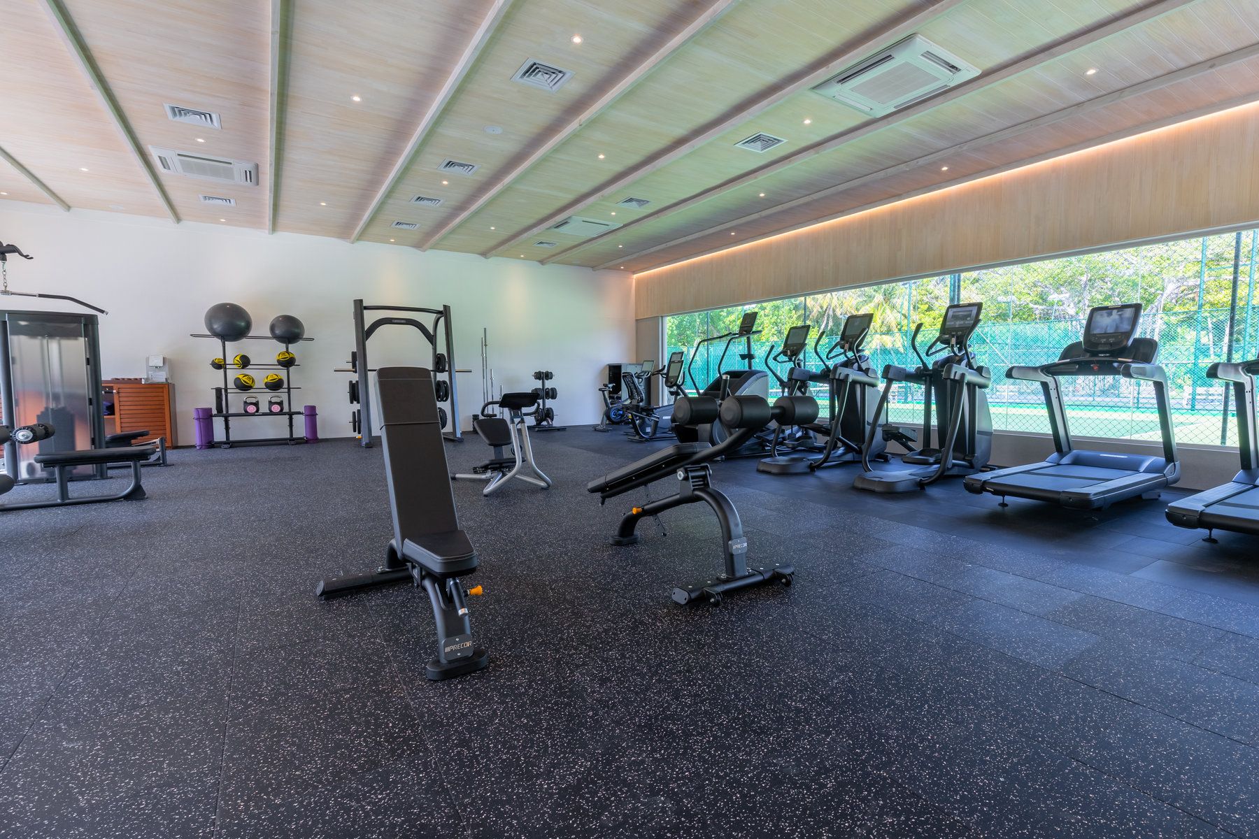 Sports & Fitness