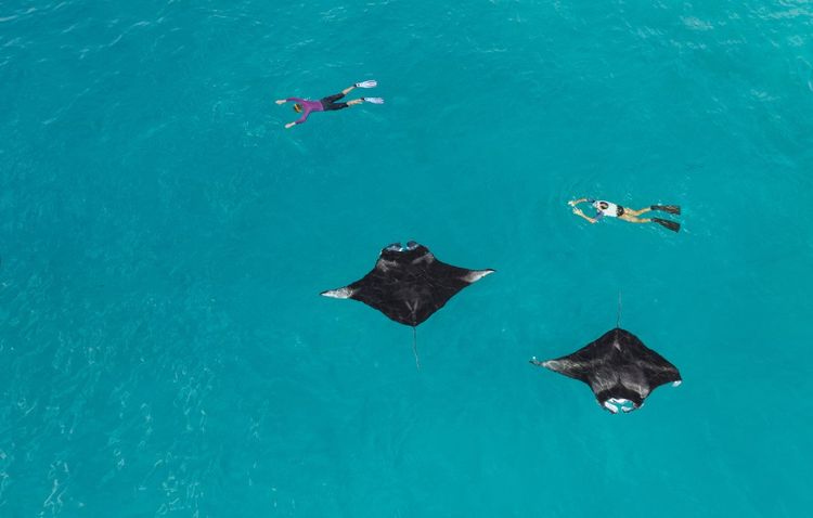 Westin Maldives Miriandhoo Resort