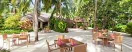 Island Coffee Shop