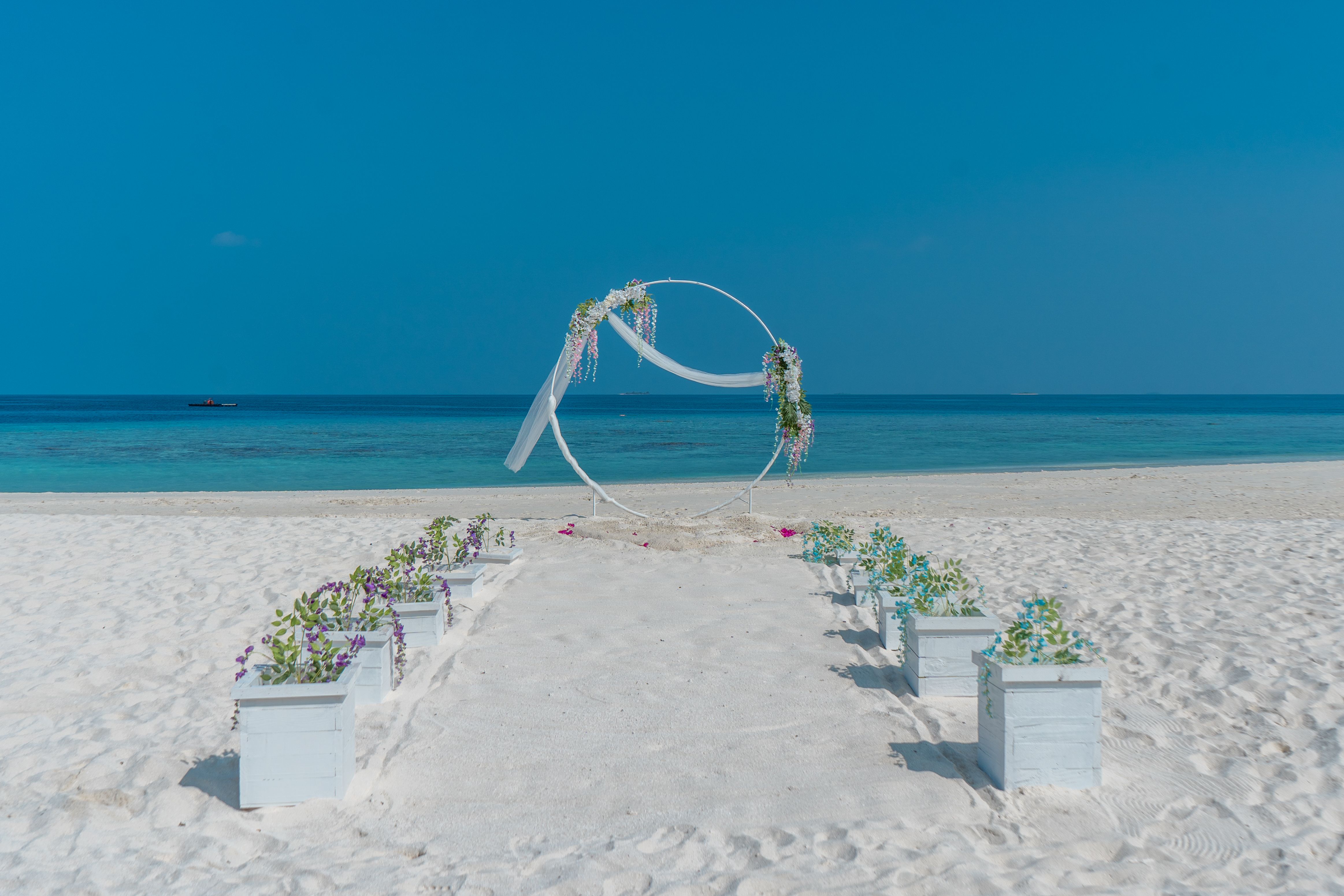 Weddings & Romance