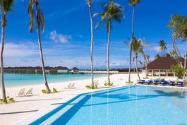 Dream Bar