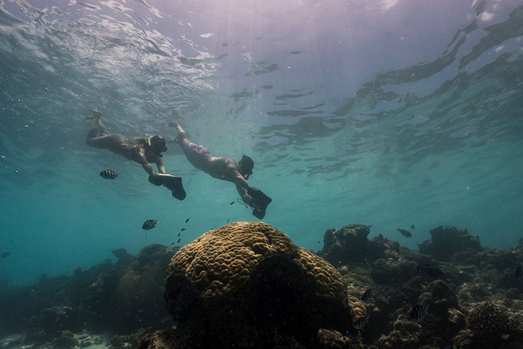 Diving