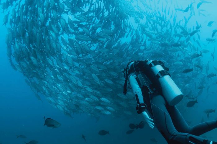Diving