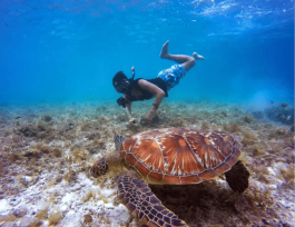 Snorkeling