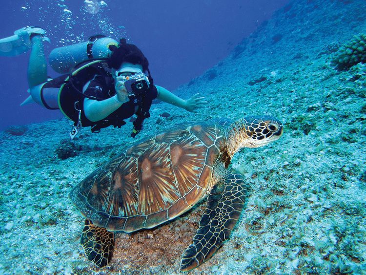 Huvafen Fushi Maldives