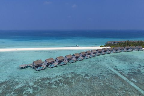 Niva Kuramathi Maldives