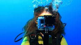 Diving