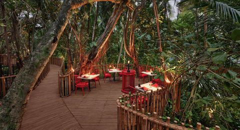 Niyama Private Islands Maldives