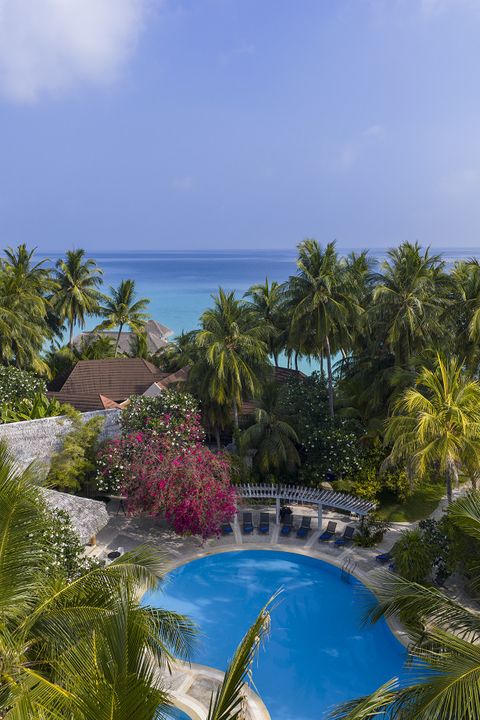 Niva Kuramathi Maldives