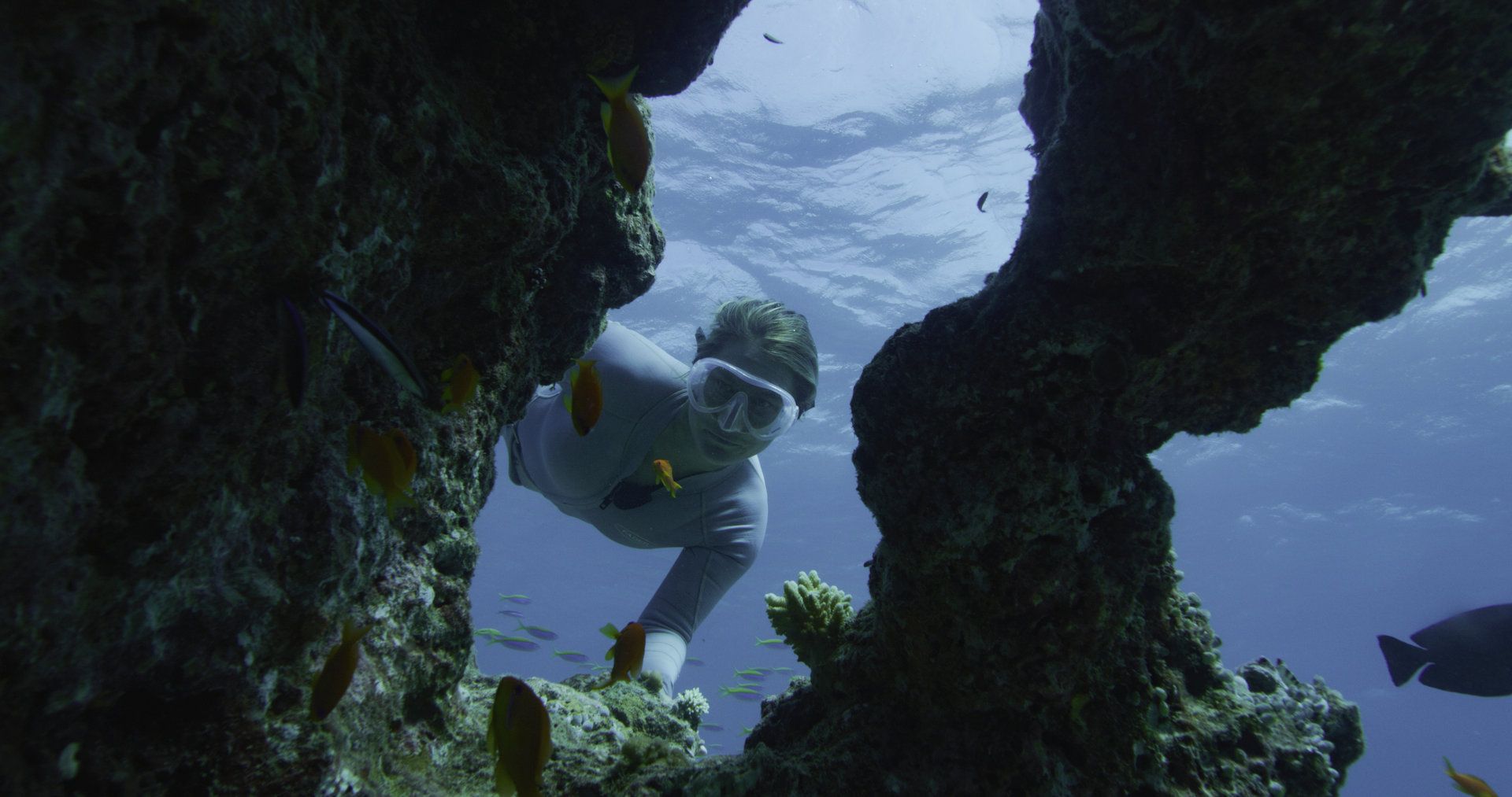 Diving