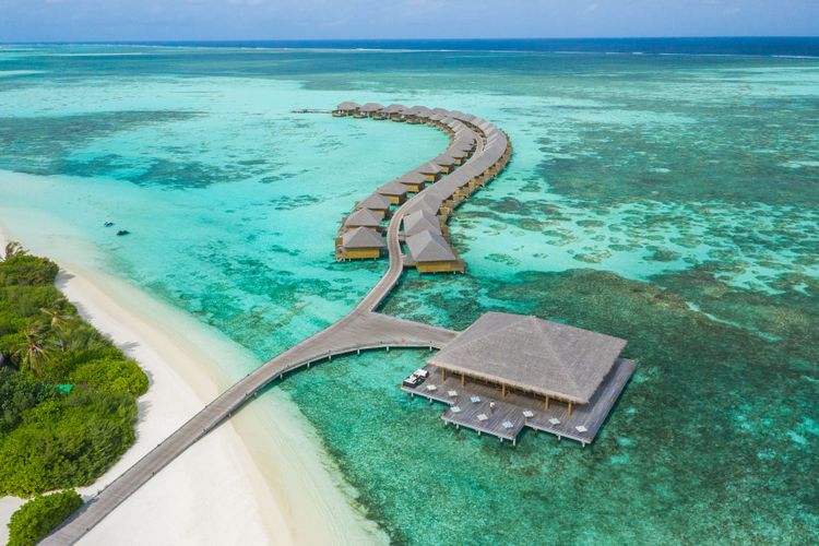 Cocoon Maldives