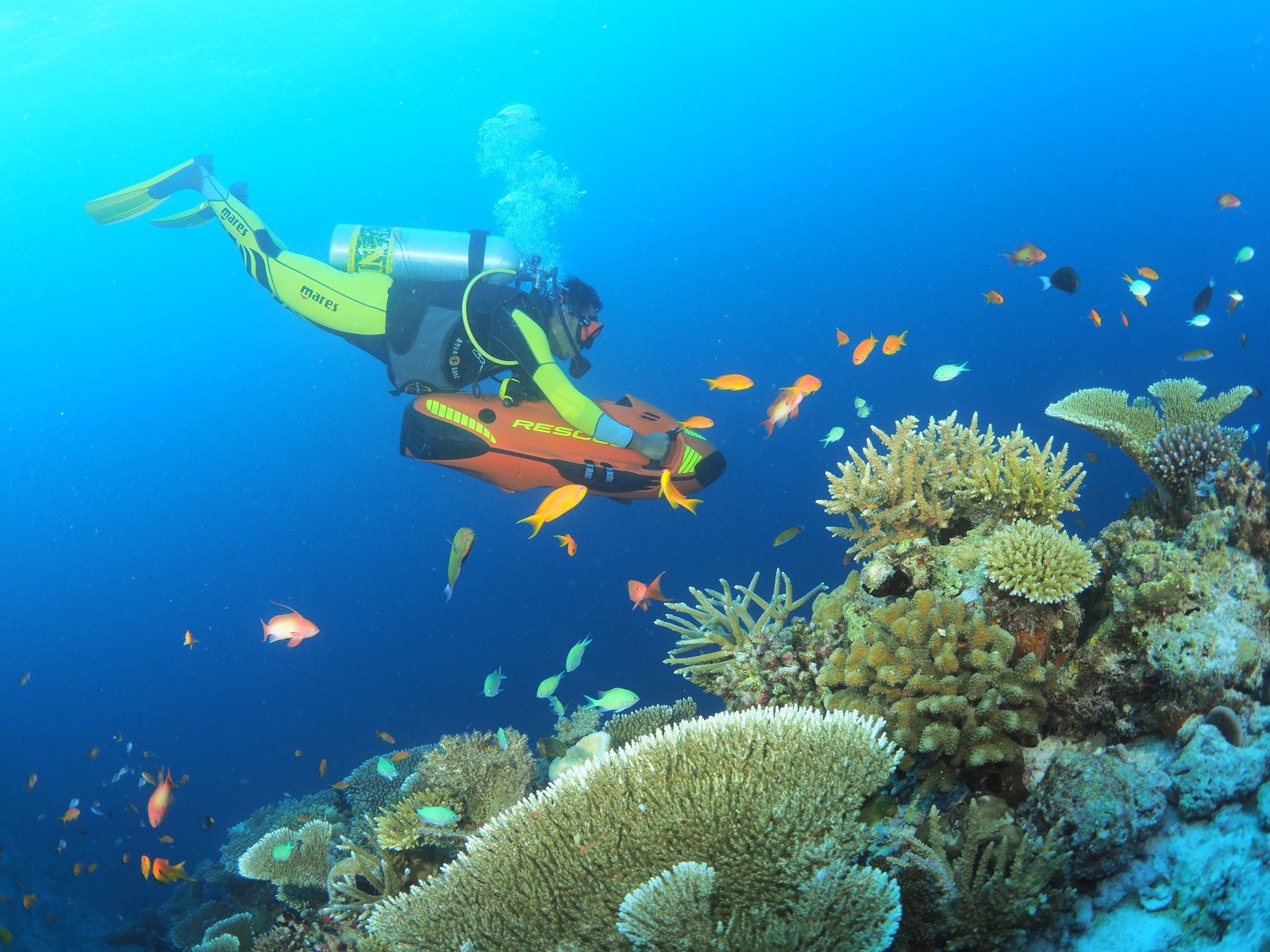 Diving