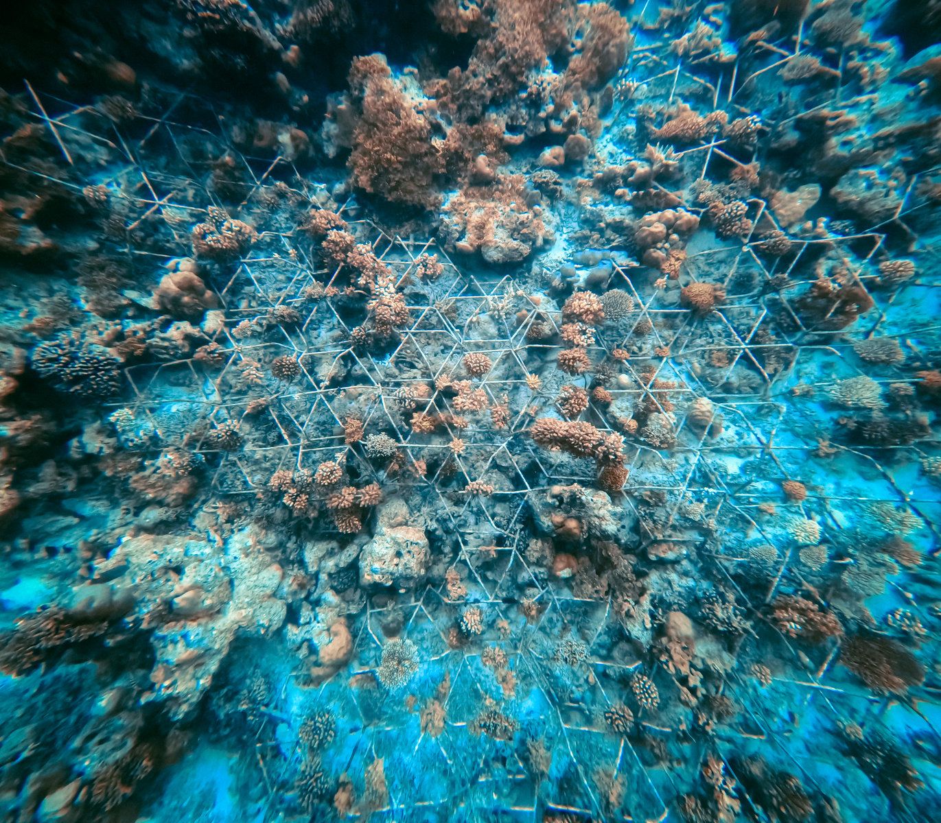 Hurawalhi Marine Biology Center