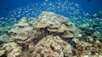 Hurawalhi Marine Biology Center
