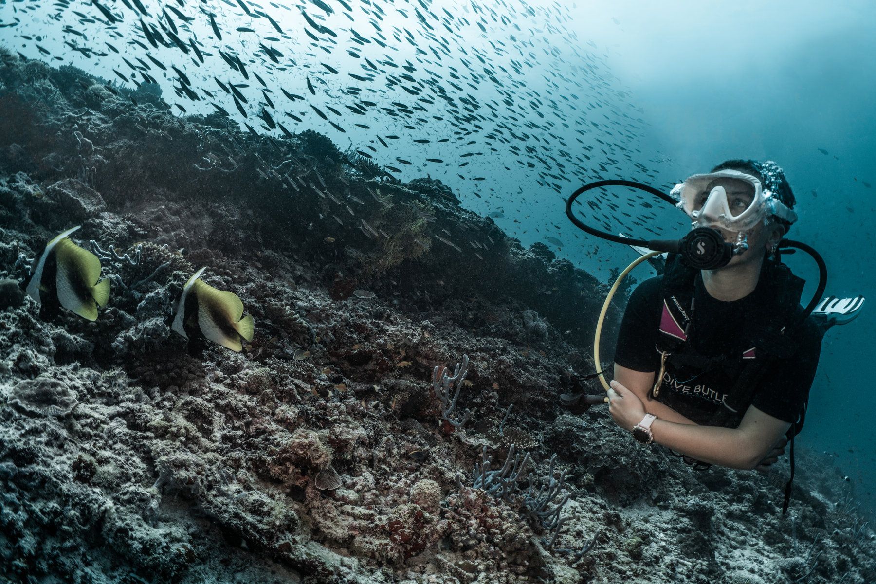 Diving