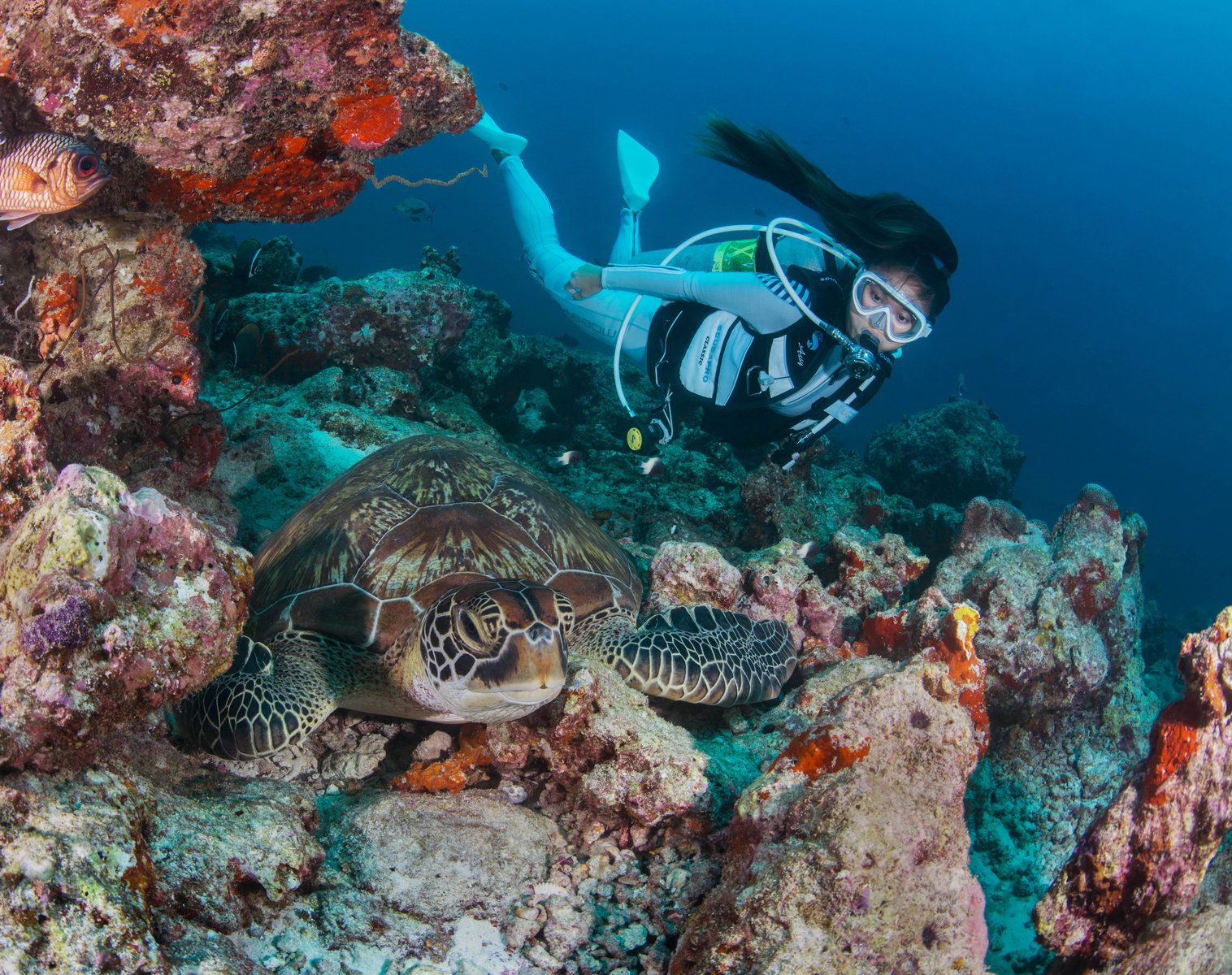 Diving