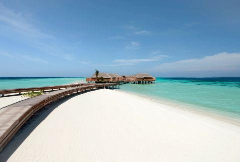 Constance Moofushi