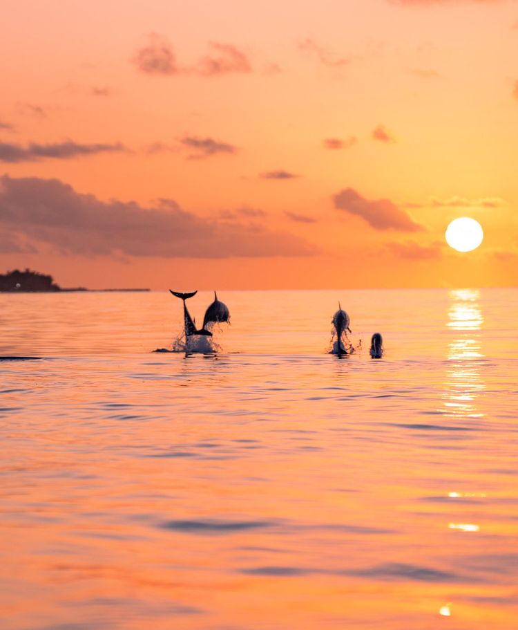 Lily Beach Resort and Spa