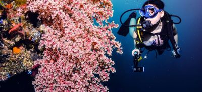 Diving