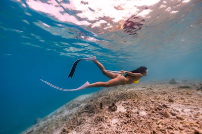 Manta Snorkelling