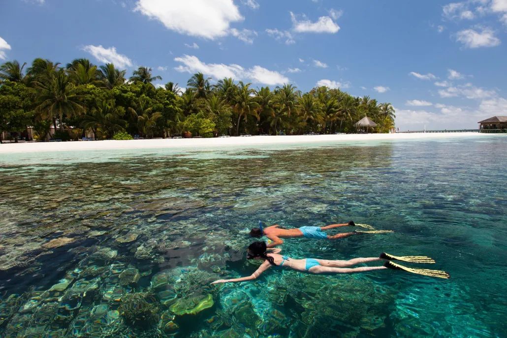 Snorkelling