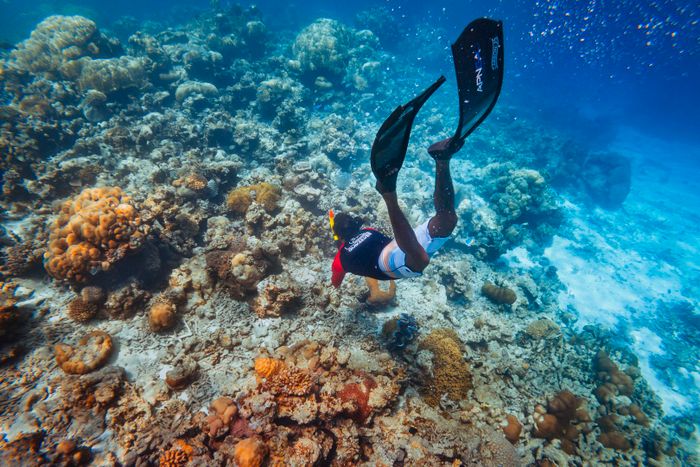Diving
