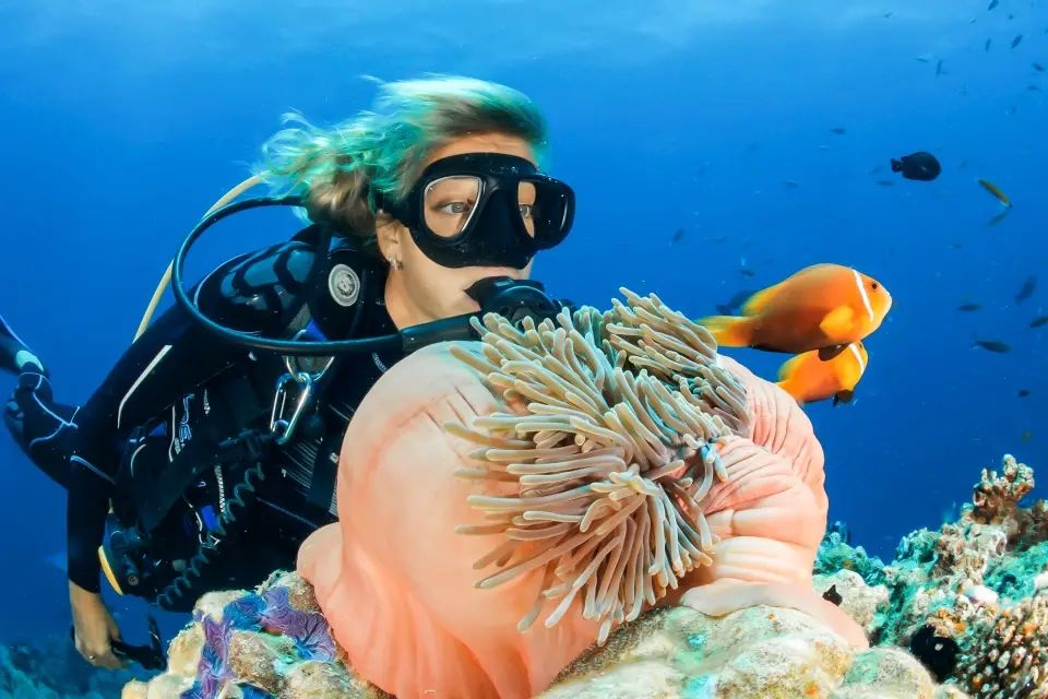 Diving