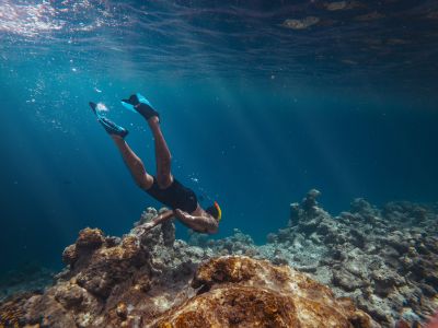 Snorkeling