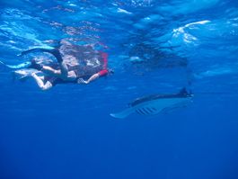 Snorkeling