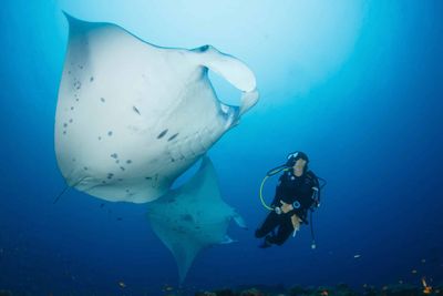 DIVING