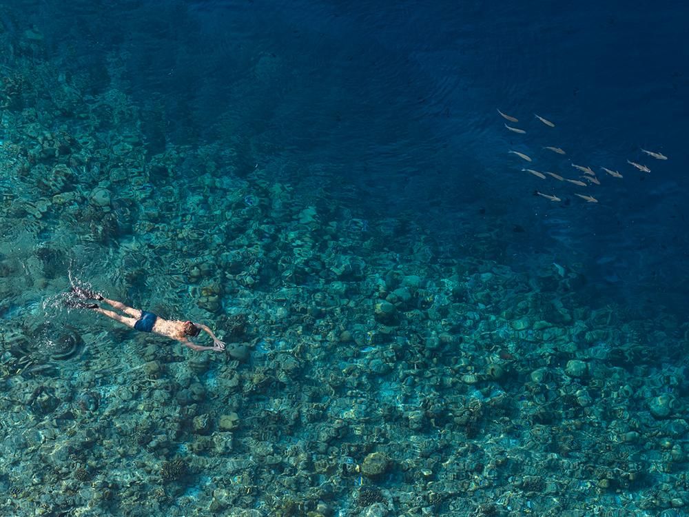 Snorkelling