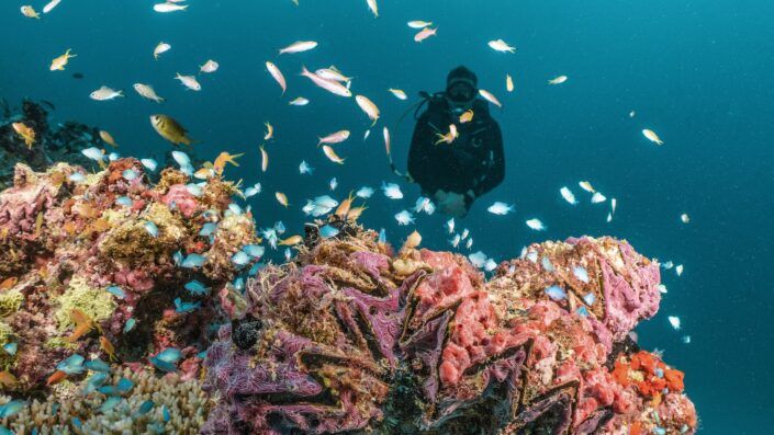 Scuba Diving