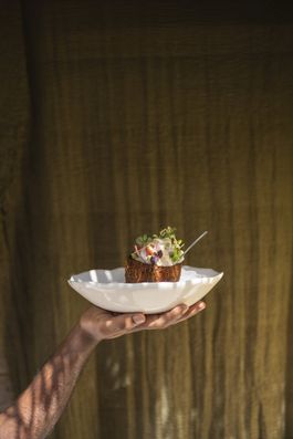 Gourmet Specials