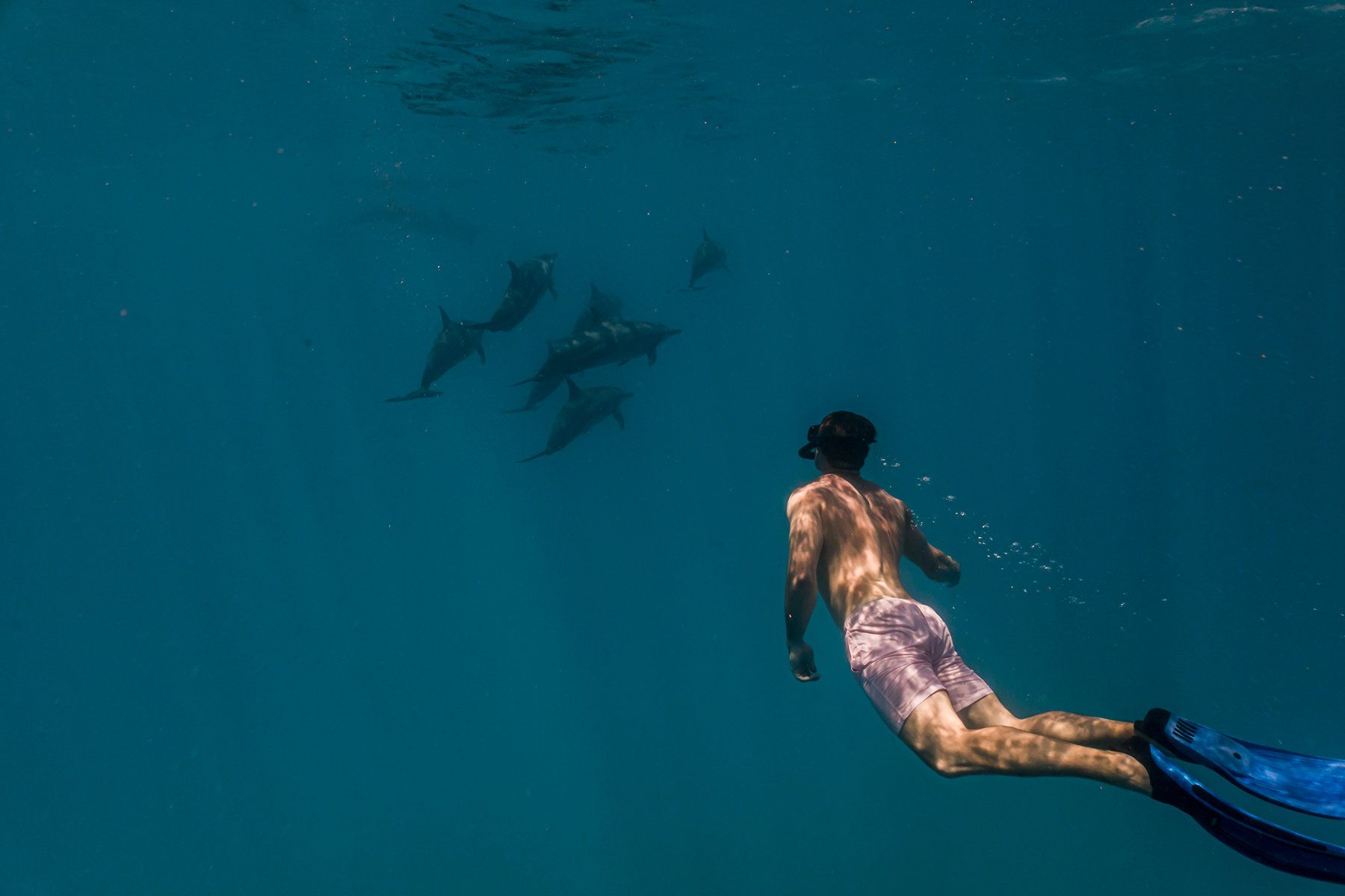 Diving