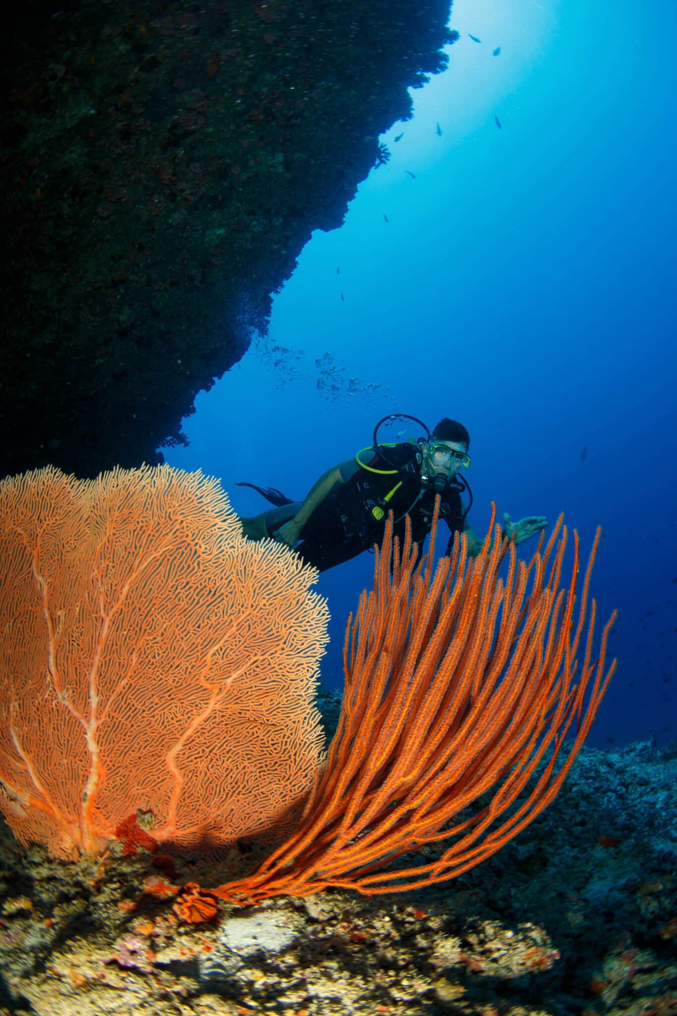DIVING