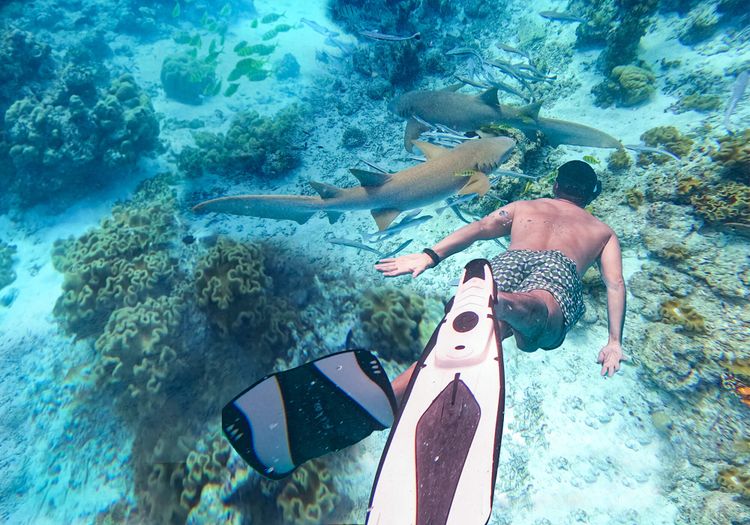 Kurumba Maldives