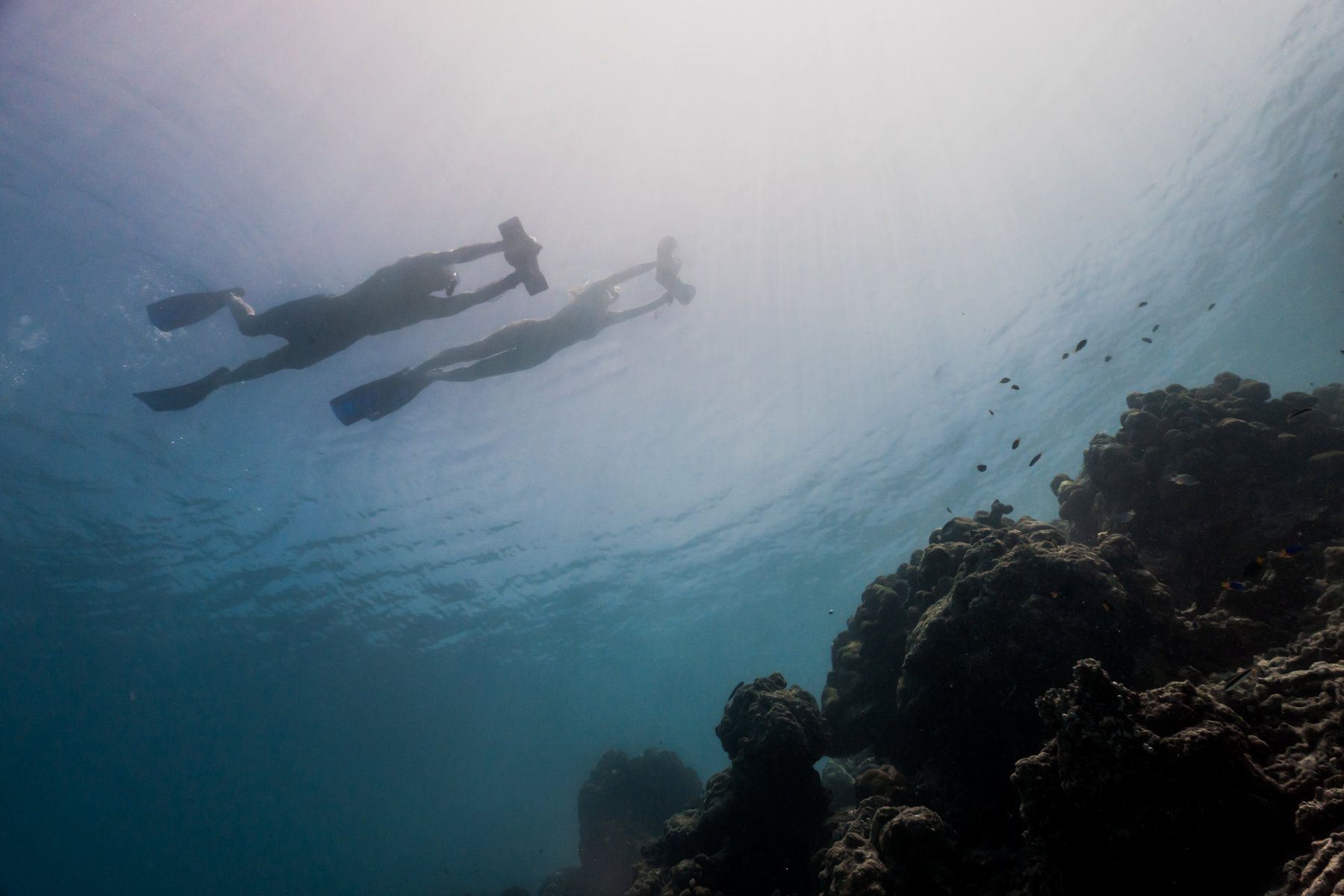 Diving