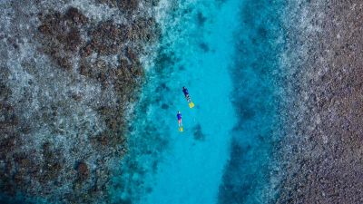 Snorkeling