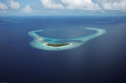 Constance Moofushi