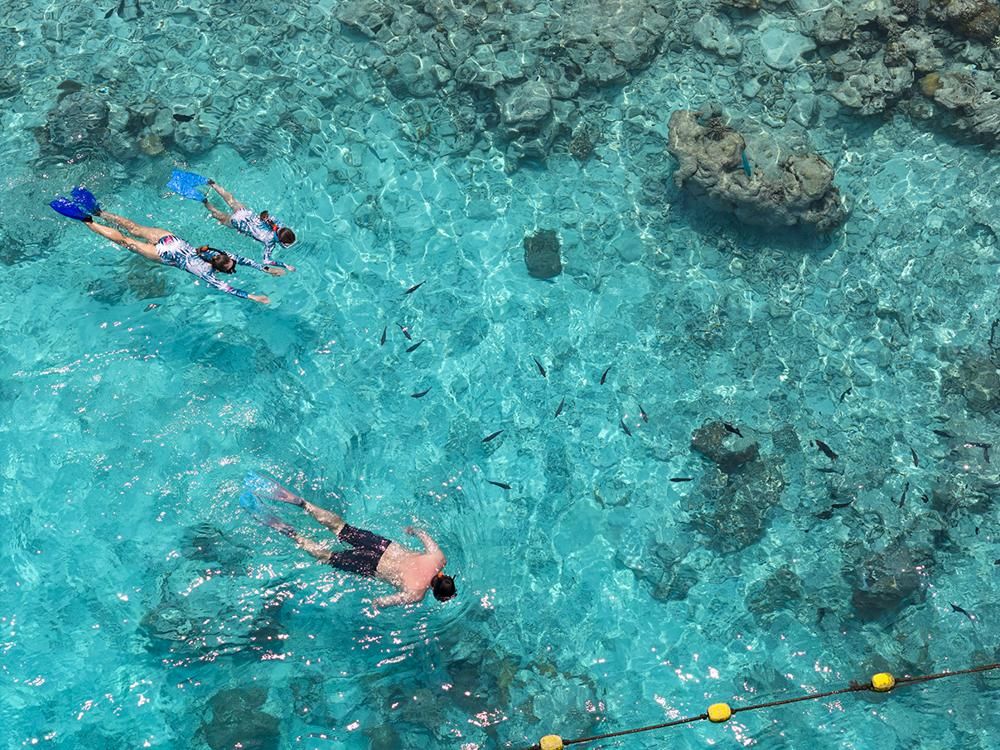 Snorkelling