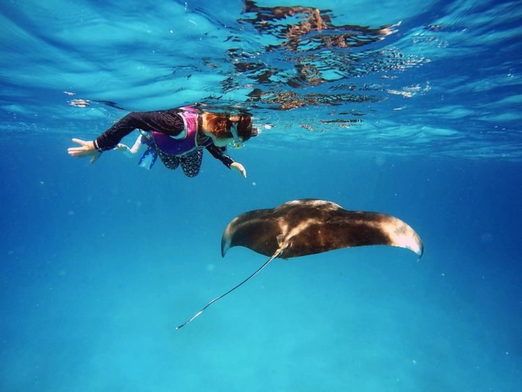 Vilamendhoo Island Resort and Spa