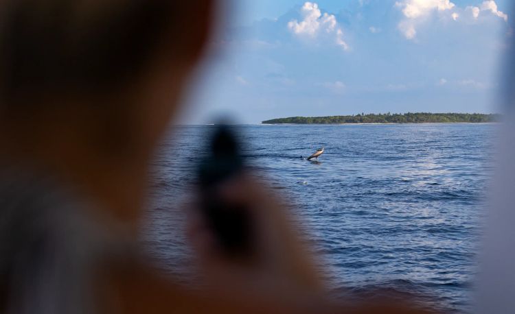Dhigali Maldives