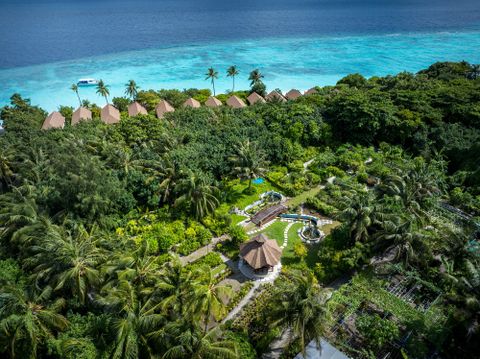 Reethi Faru Resort