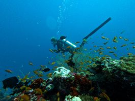 Diving