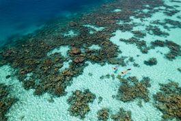 Komandoo_s House Reef
